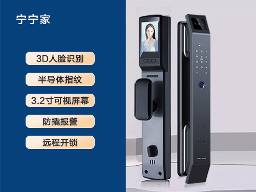 Facial recognition lock R501