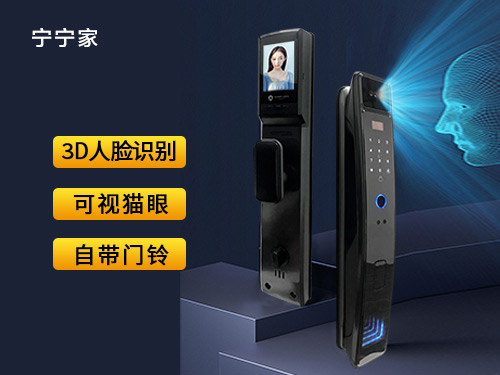 Facial recognition lock R502