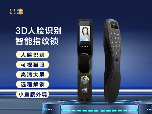 Facial recognition lock R503