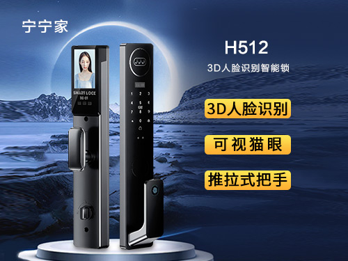Facial recognition lock H512
