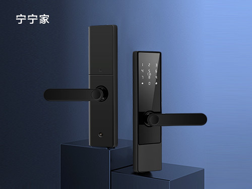 Fingerprint password lock H202