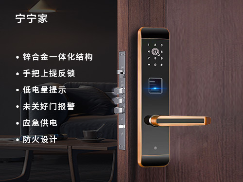 Fingerprint password lock H300